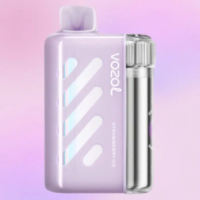 VOZOL VISTA 40000 puffs