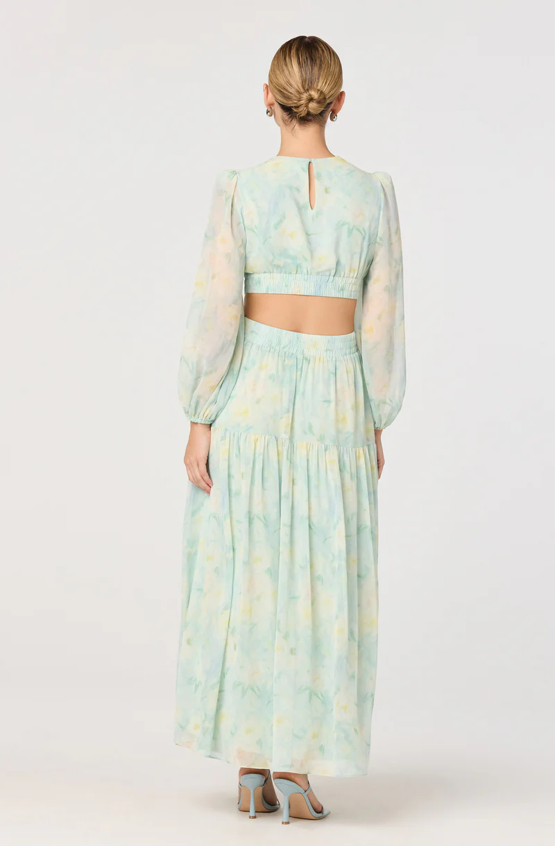 Klarissa Floral Cutout Balloon Sleeve Maxi Dress