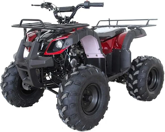 RPS 125cc ATV Rider 8 Big Tire - Image 12