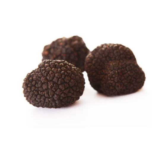 Winter truffles – exquisite black truffles for gourmets and connoisseurs