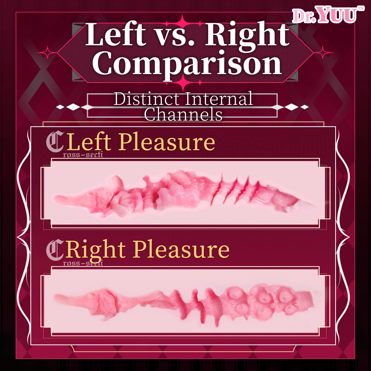 Cross-section view of the internal tunnel textures in the Dr.YUU  foot masturbator.