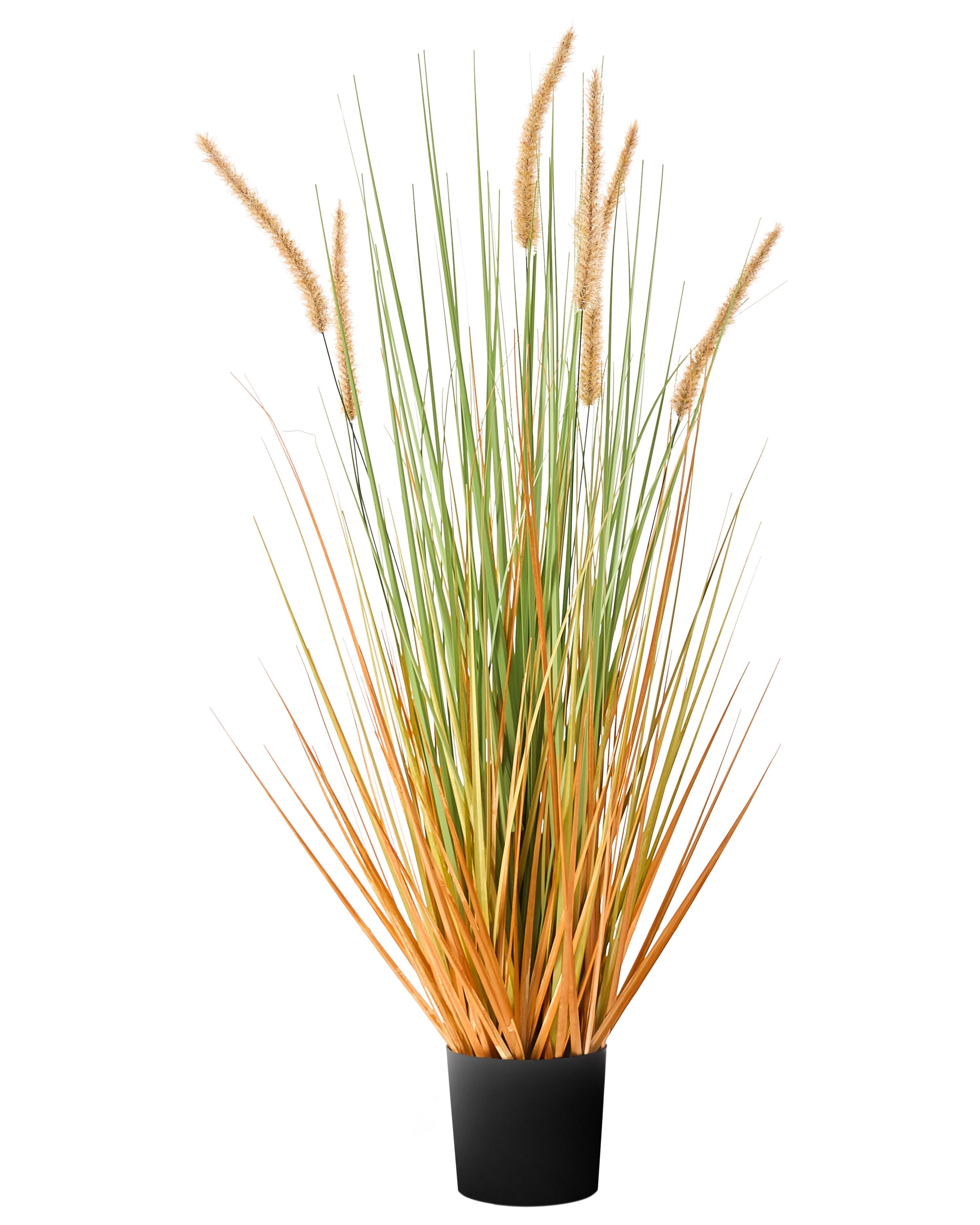 Artificial Plant BRISTLEGRASS 90 cm Green
