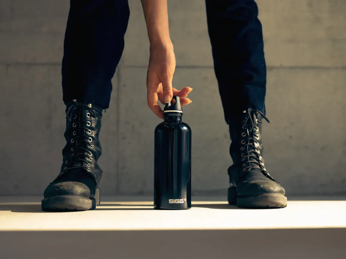 Traveller