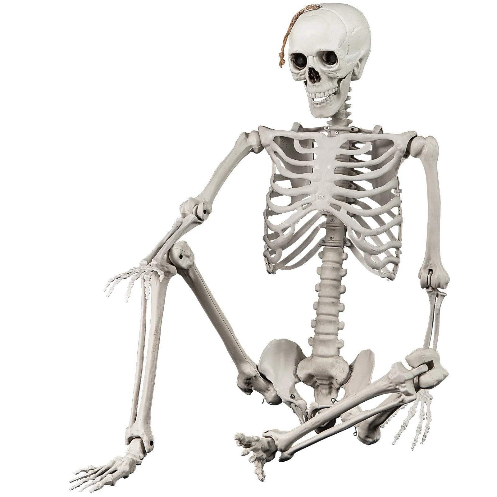 Costway 5.4 FT Halloween Skeleton Decoration Life Size Large Skeleton with Posable Joints 64.5 Inches Ivory White - Image 11 Costway 5.4 FT Halloween Skeleton Decoration Life Size Large Skeleton with Posable Joints 64.5 Inches Ivory White - Image 11