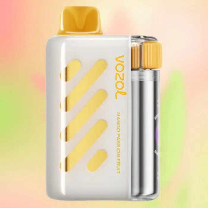VOZOL VISTA 40000 puffs