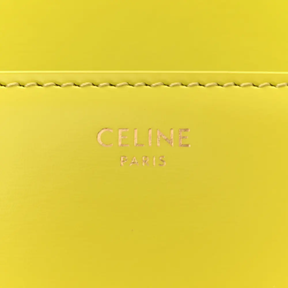 Superfake Celine Anis Triomphe Bag – Gold Hardware & Calfskin Leather1:1High-quality replica