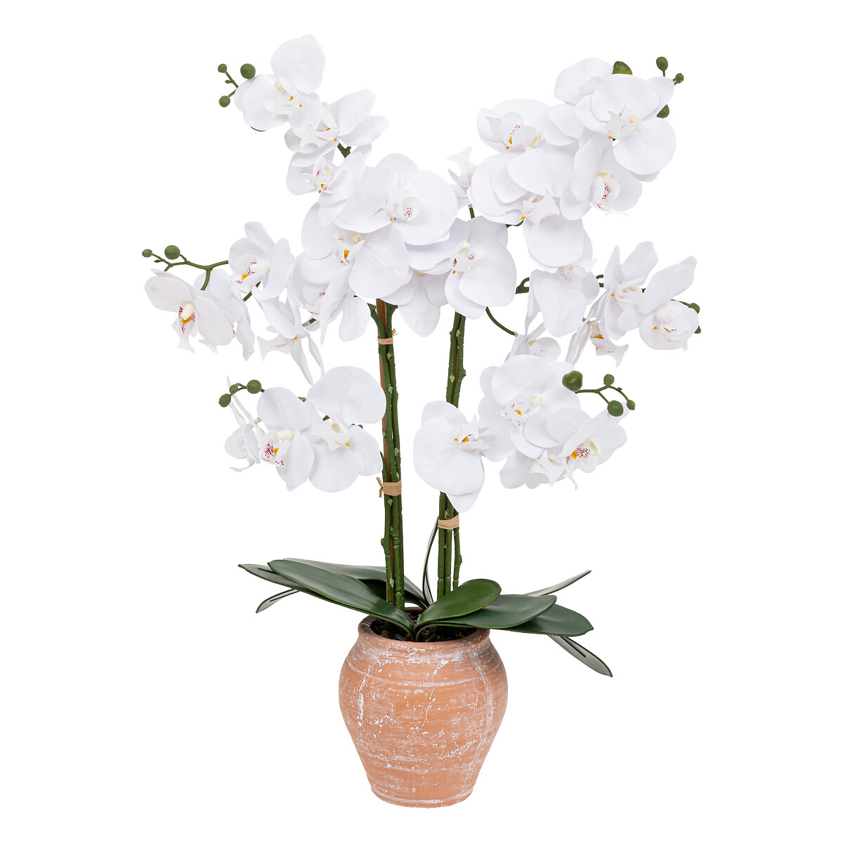 "Dena" artificial orchid Terracotta pot, H.65 cm