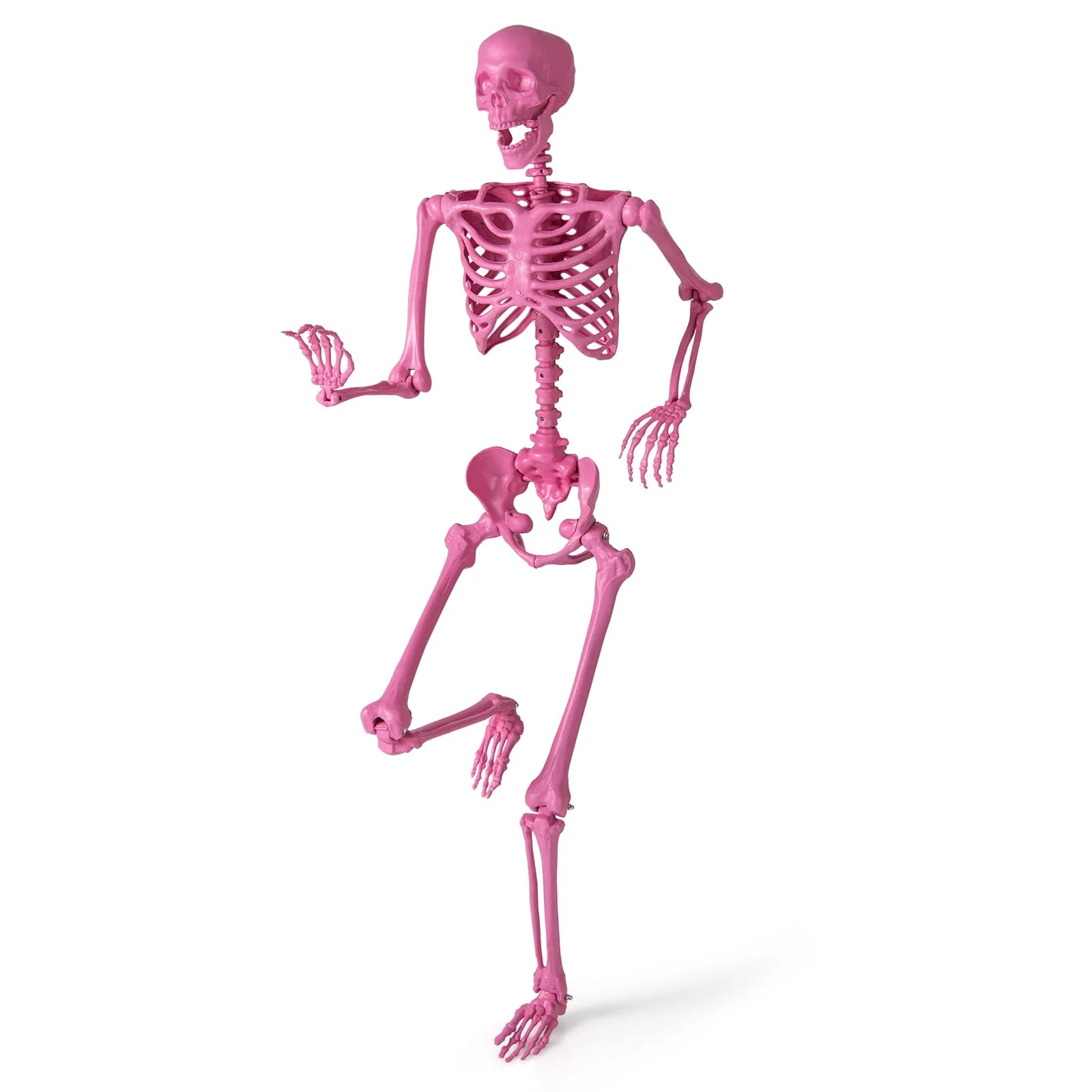 Costway 5.5 FT Poseable Halloween Skeleton Life-Size Decoration with Movable Joints Pink - Image 12 Costway 5.5 FT Poseable Halloween Skeleton Life-Size Decoration with Movable Joints Pink - Image 12