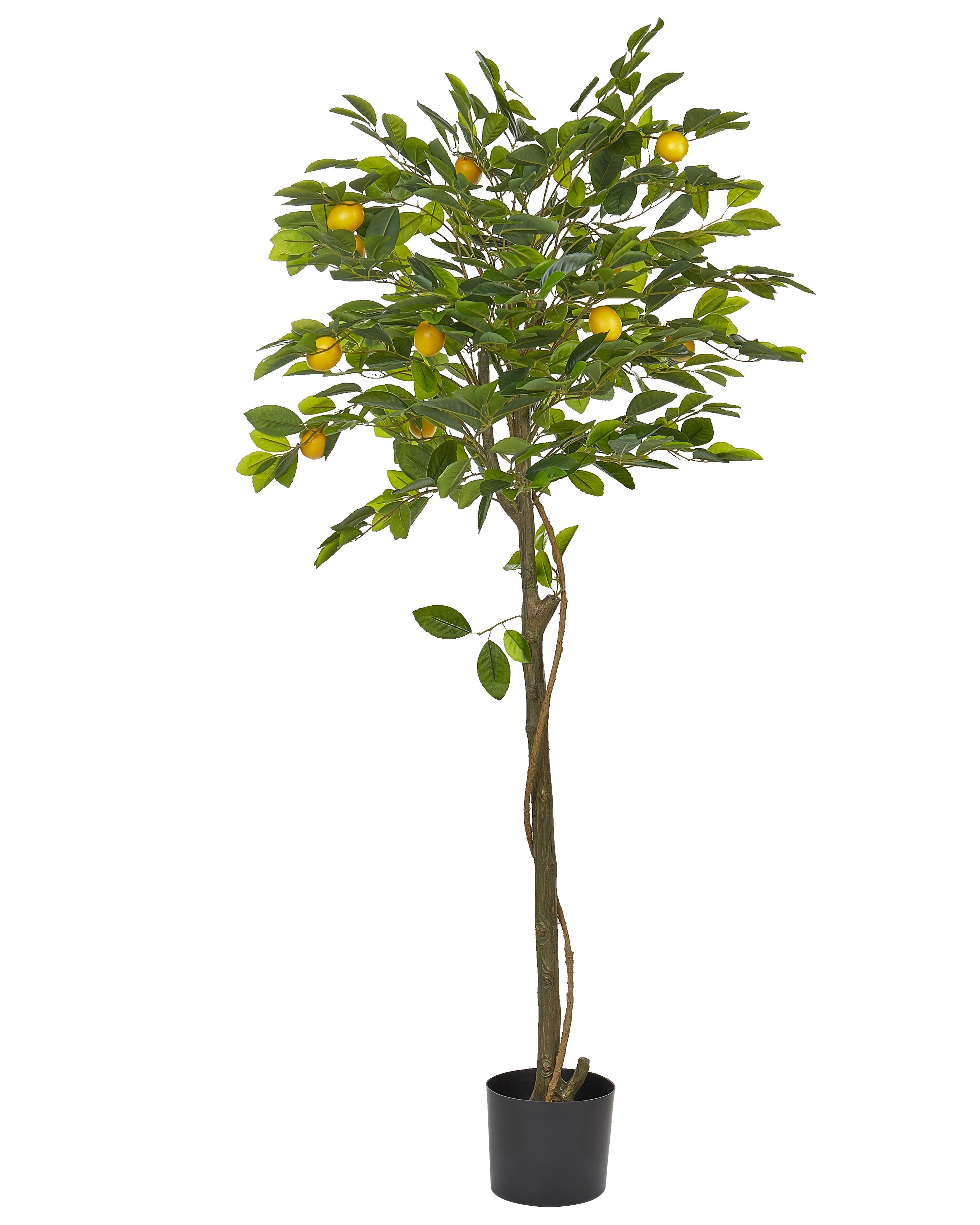 Artificial Plant LEMON TREE 156 cm Green