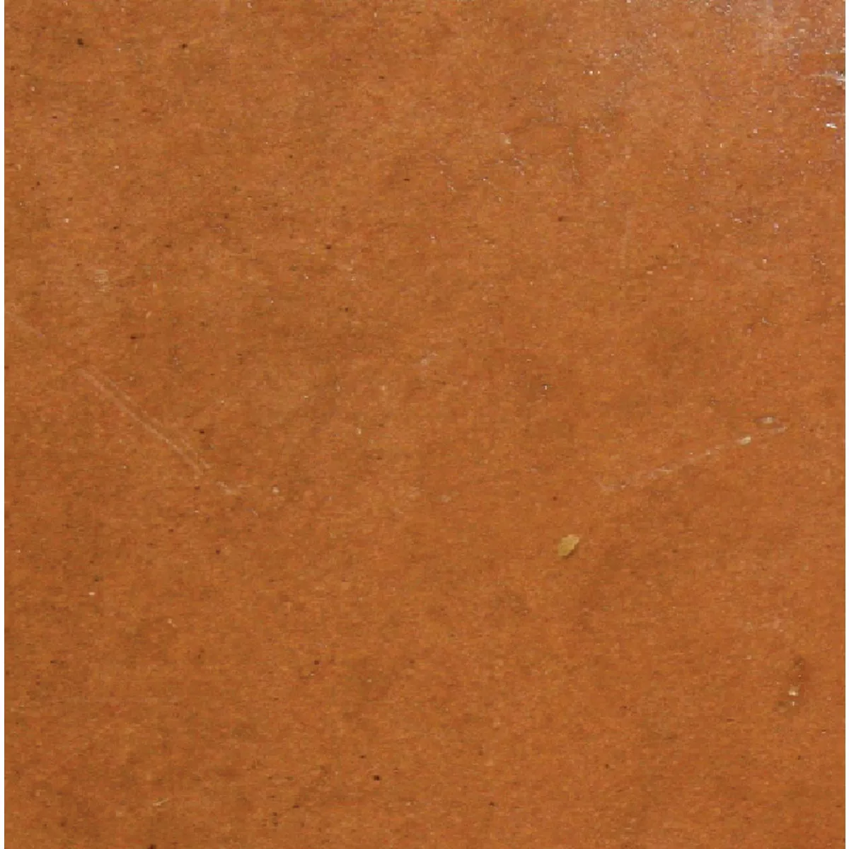 Quikrete Terra Cotta 10 Oz. Liquid Cement Color