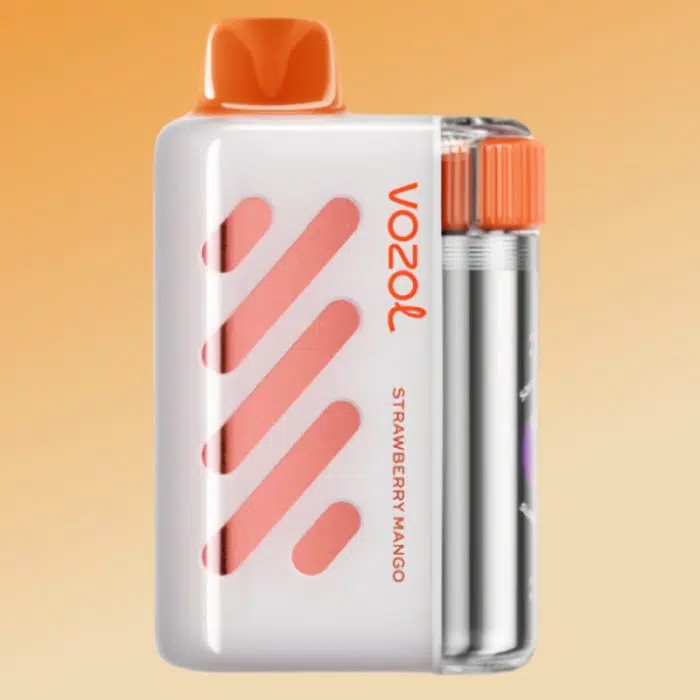VOZOL VISTA 40000 puffs