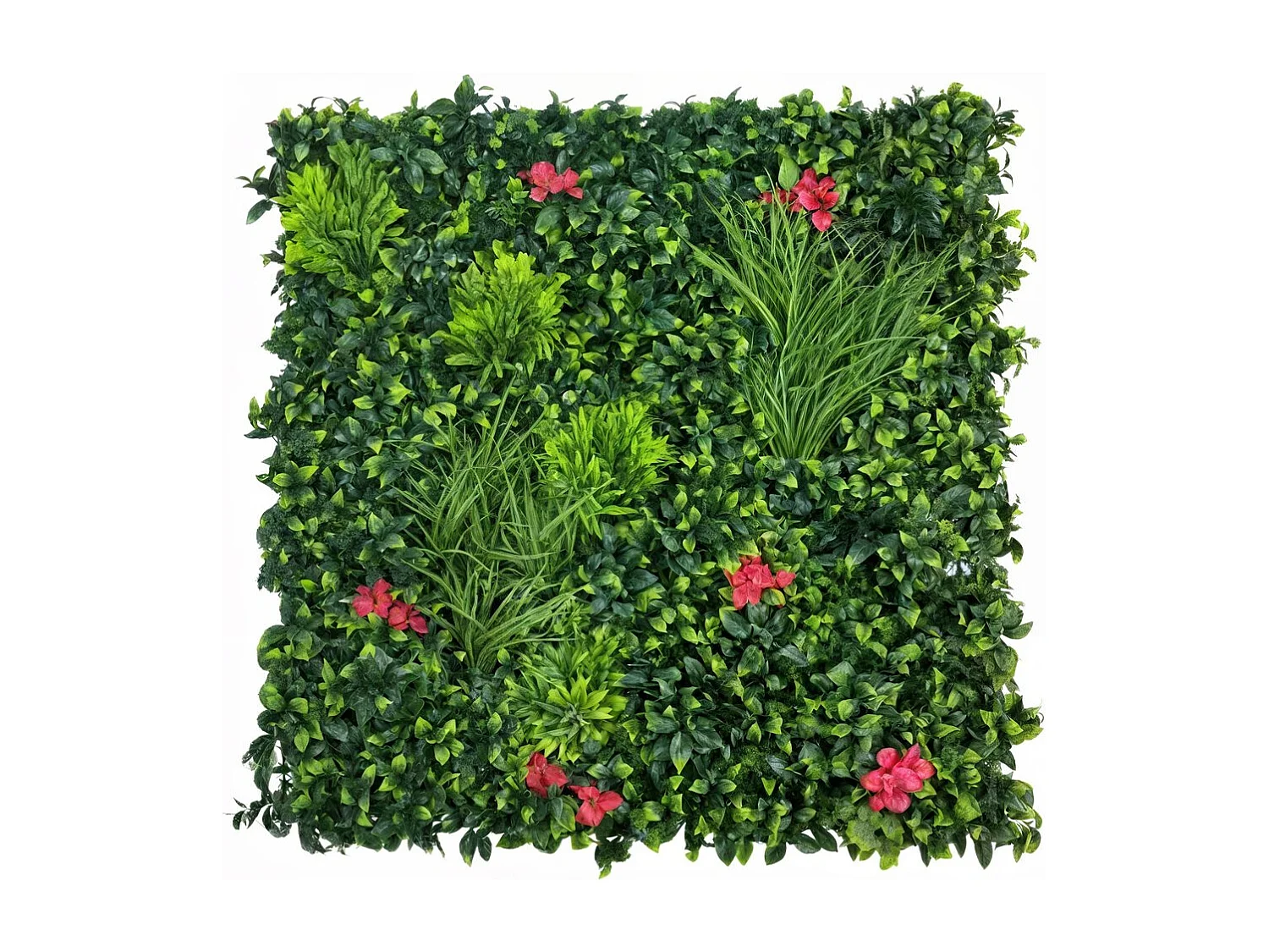 Panneau végétal - 