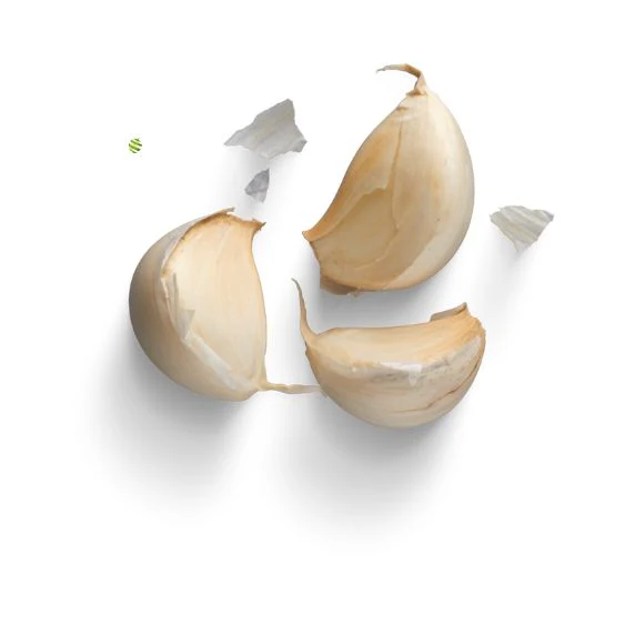 Garlic – A spicy classic bulb for every kitchen