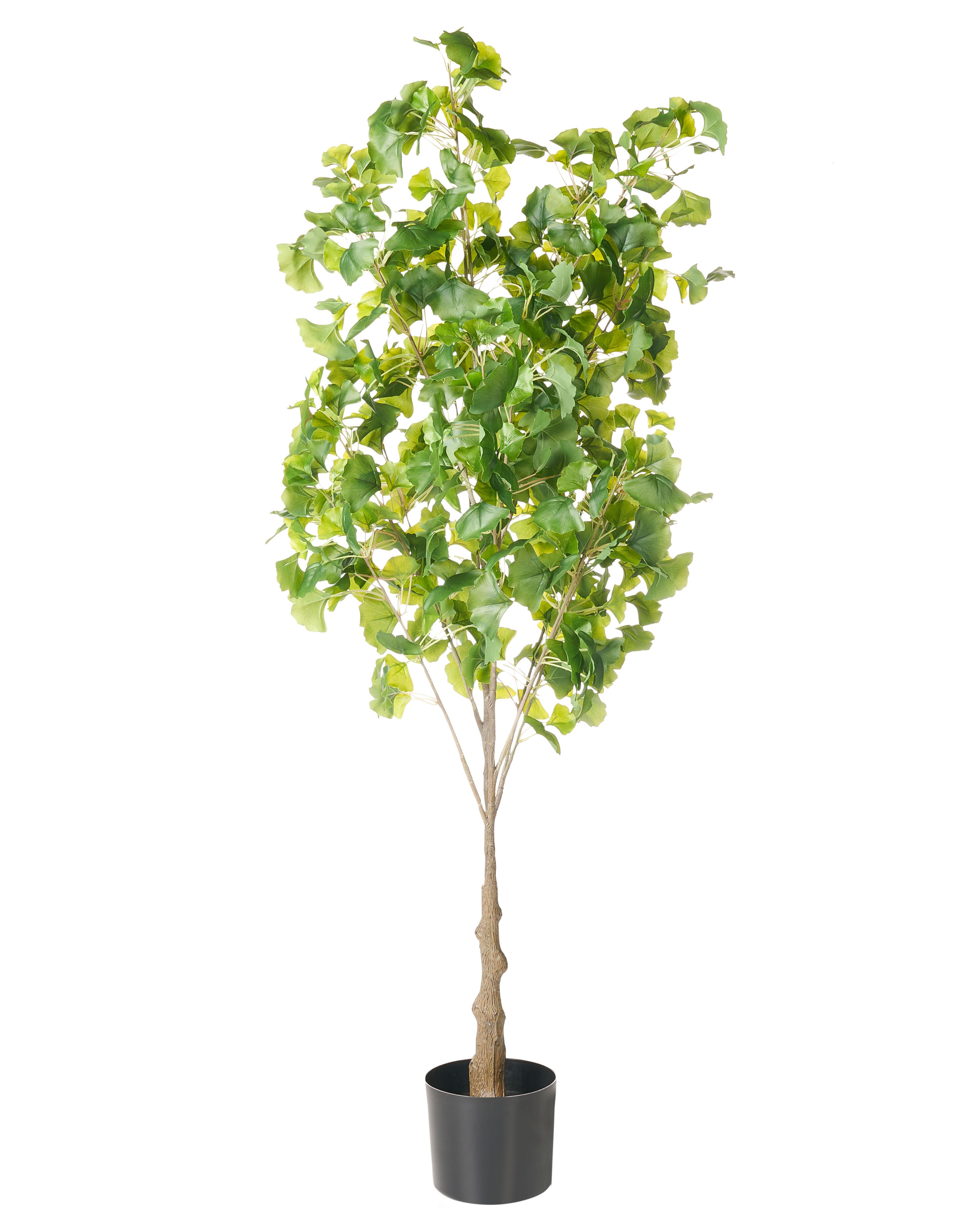 Artificial Plant GINKGO TREE 150 cm Green