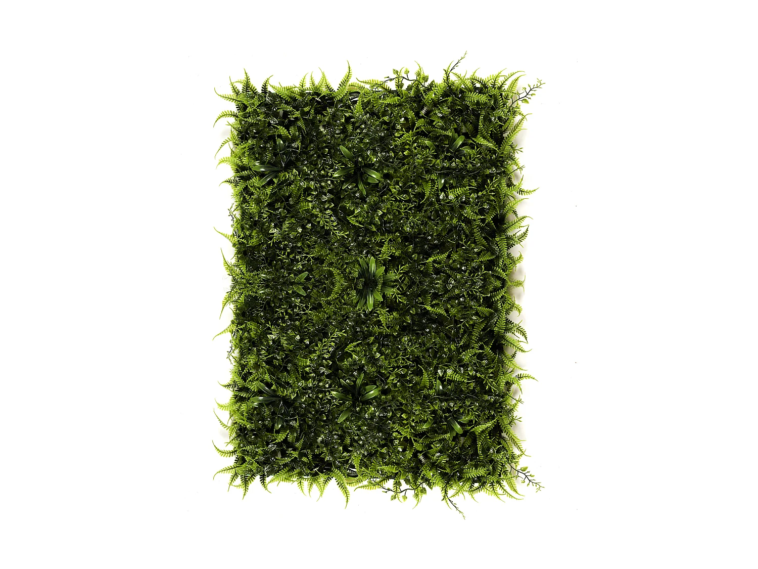 Plante Artificielle - HOME DECO FACTORY - Mur Végétal - Vert - 60 x 40 cm