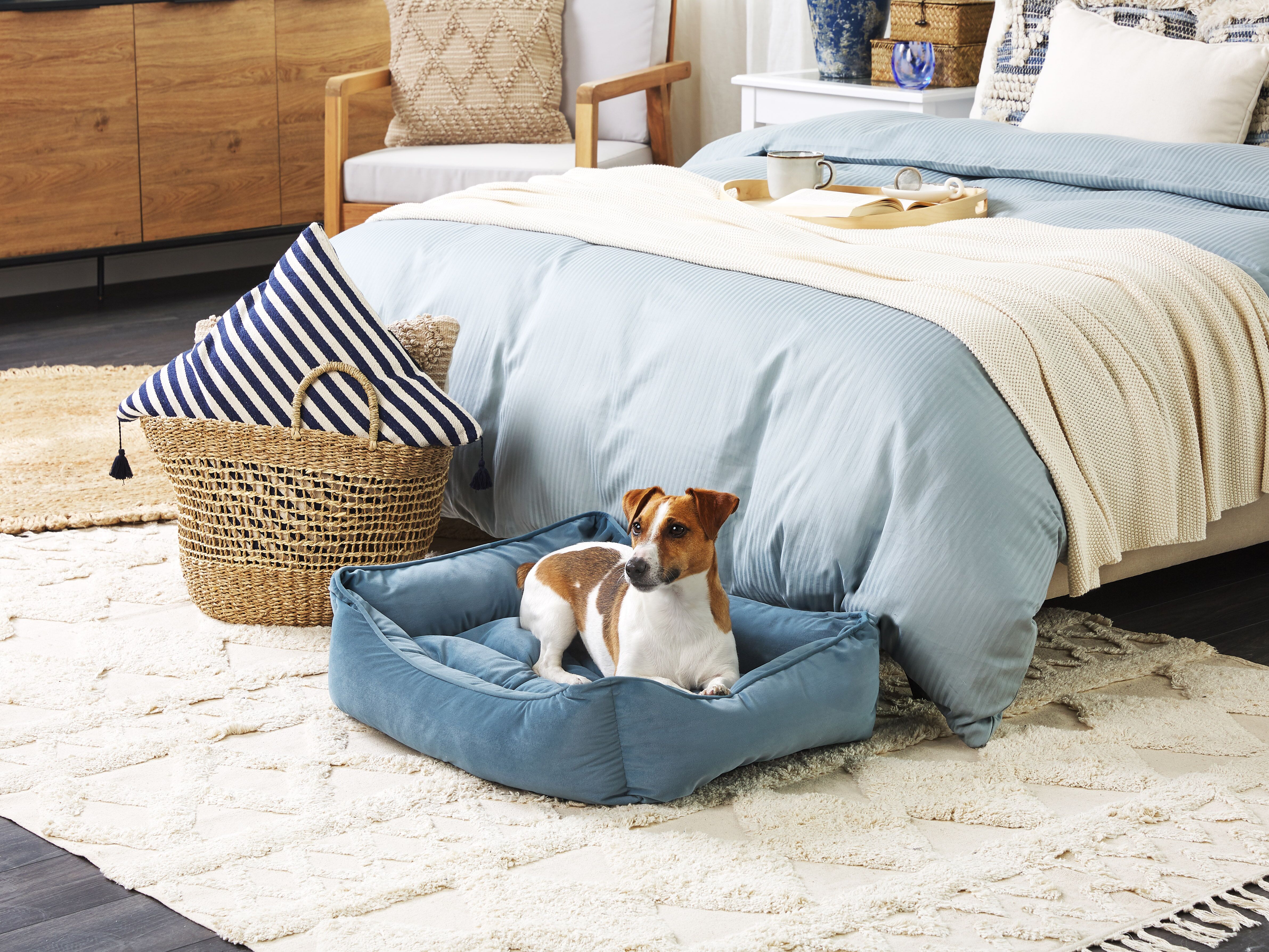 Pet Bed IZMIR Velvet Blue