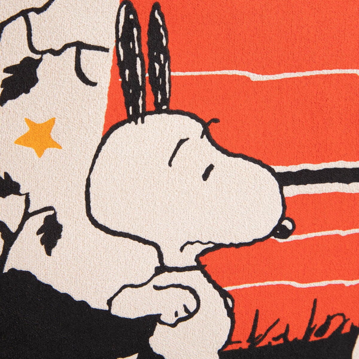 Poszewka HALOWEEN SNOOPY ze wzorem Snoopy 45x45cm