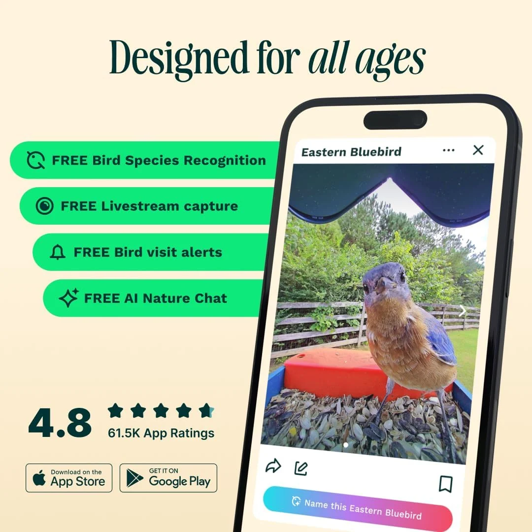 Birdbuddy PRO Solar Smart Bird Feeder With Camera, 5MP Photos, 2K HD Video, Blue - PRO - Image 3 Birdbuddy PRO Solar Smart Bird Feeder With Camera, 5MP Photos, 2K HD Video, Blue - PRO - Image 3