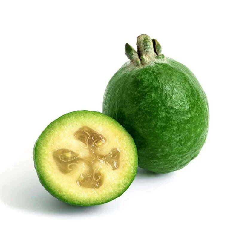 Feijoa – Exotic pineapple guava with a fruity-fresh aroma