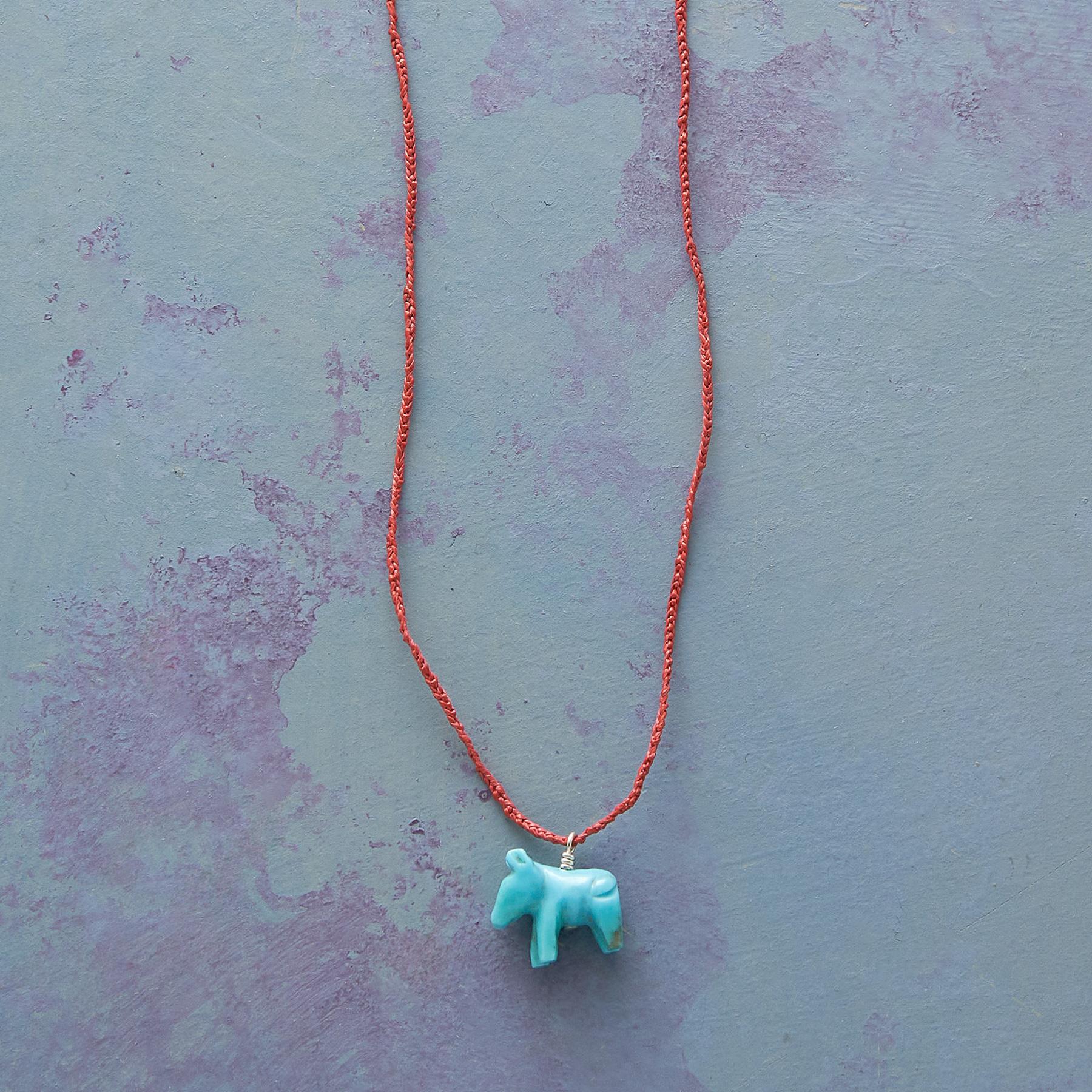 Burro Spirit Necklace - Sundance Clothing