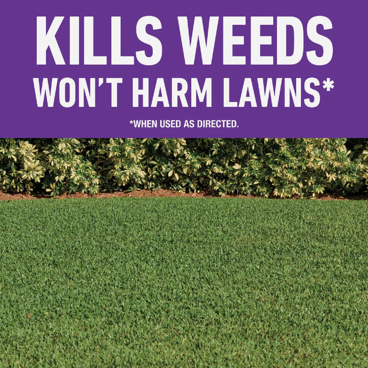 Roundup For Lawns 32 Oz. Spray Southern Formula Weed Killer