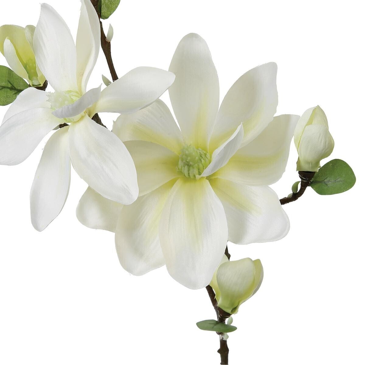 Artificial magnolia stem White, H.83 cm