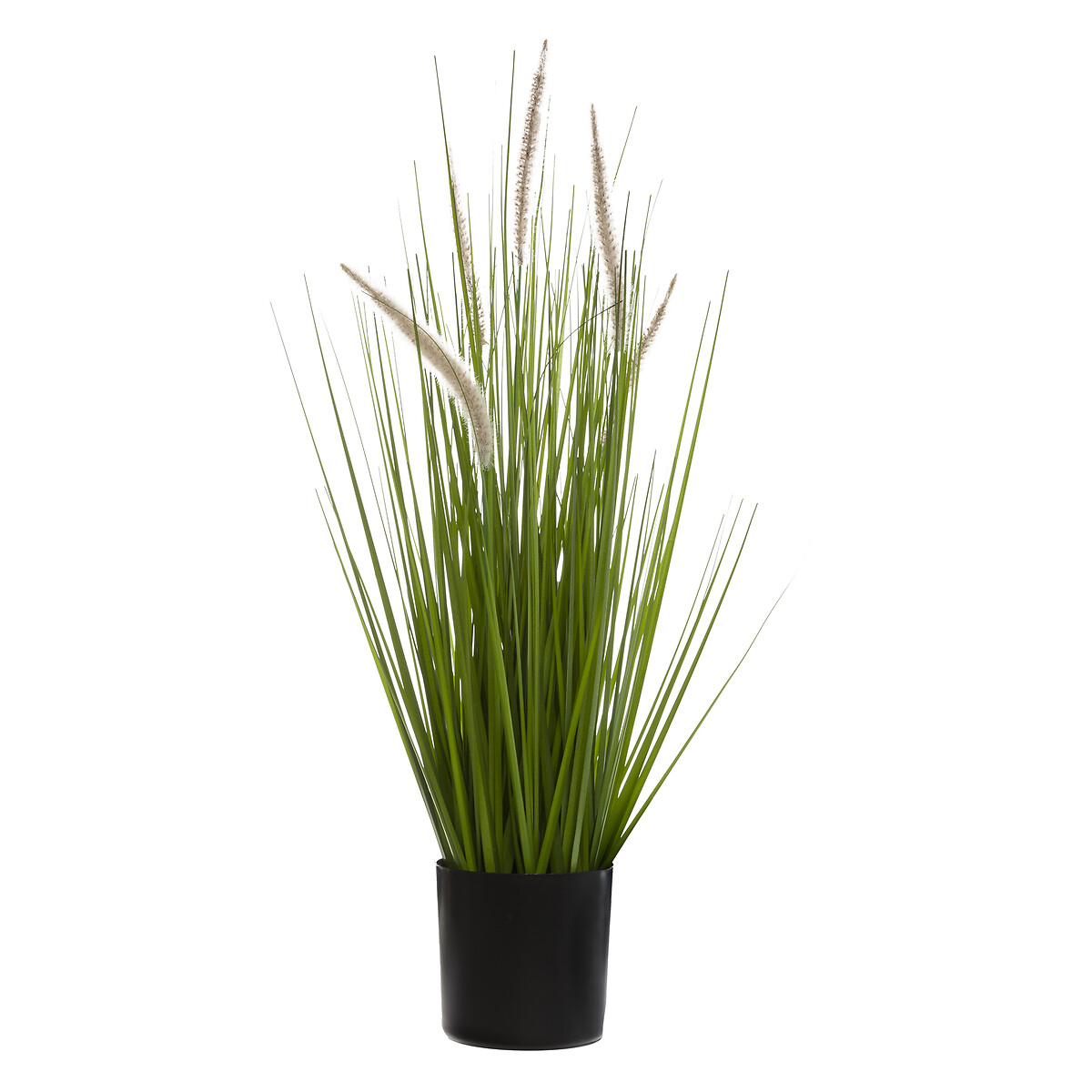 Artificial grass in a pot "cat tails" H.70 cm