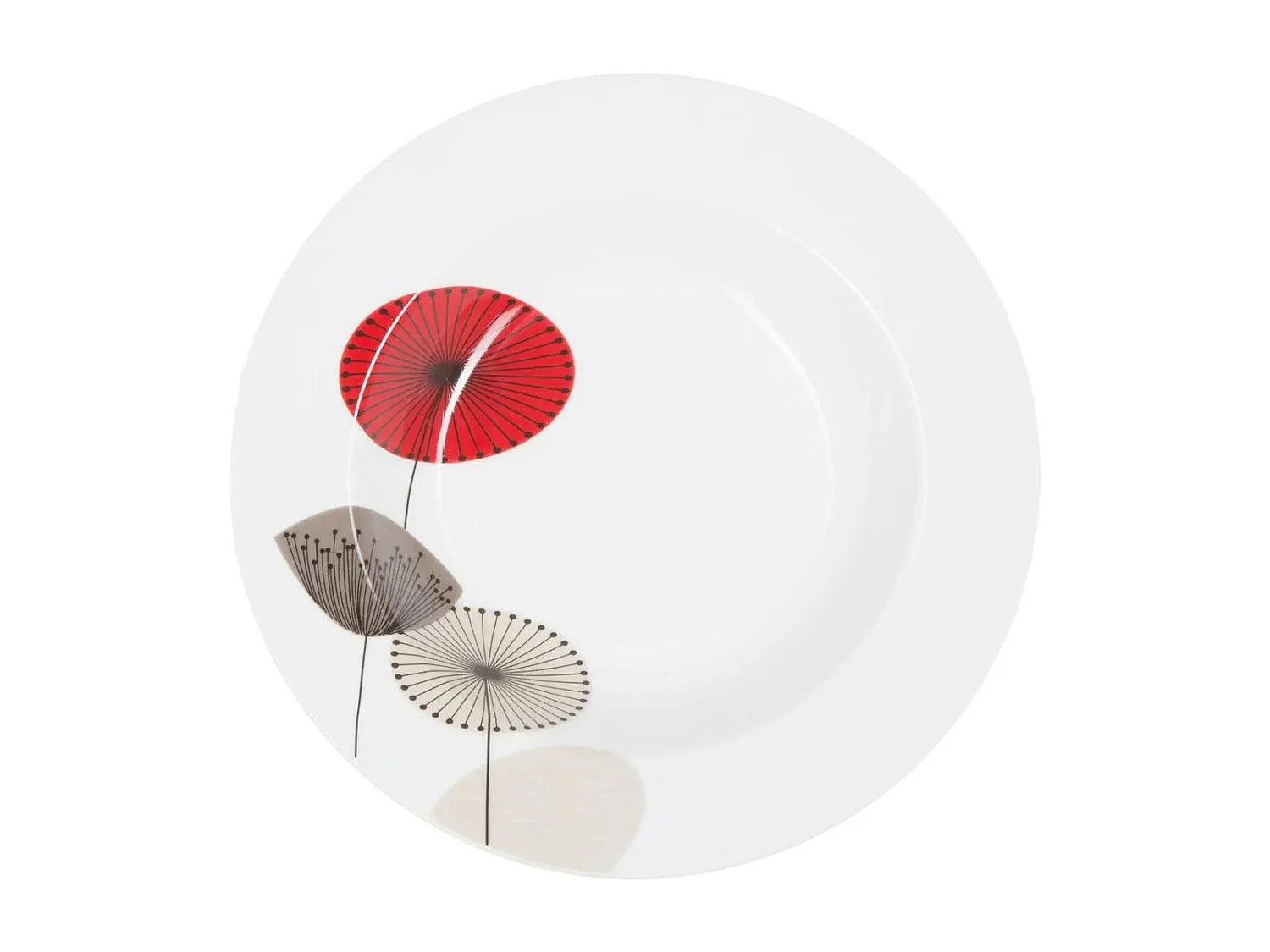 Lot de 6 Assiettes Creuses 
