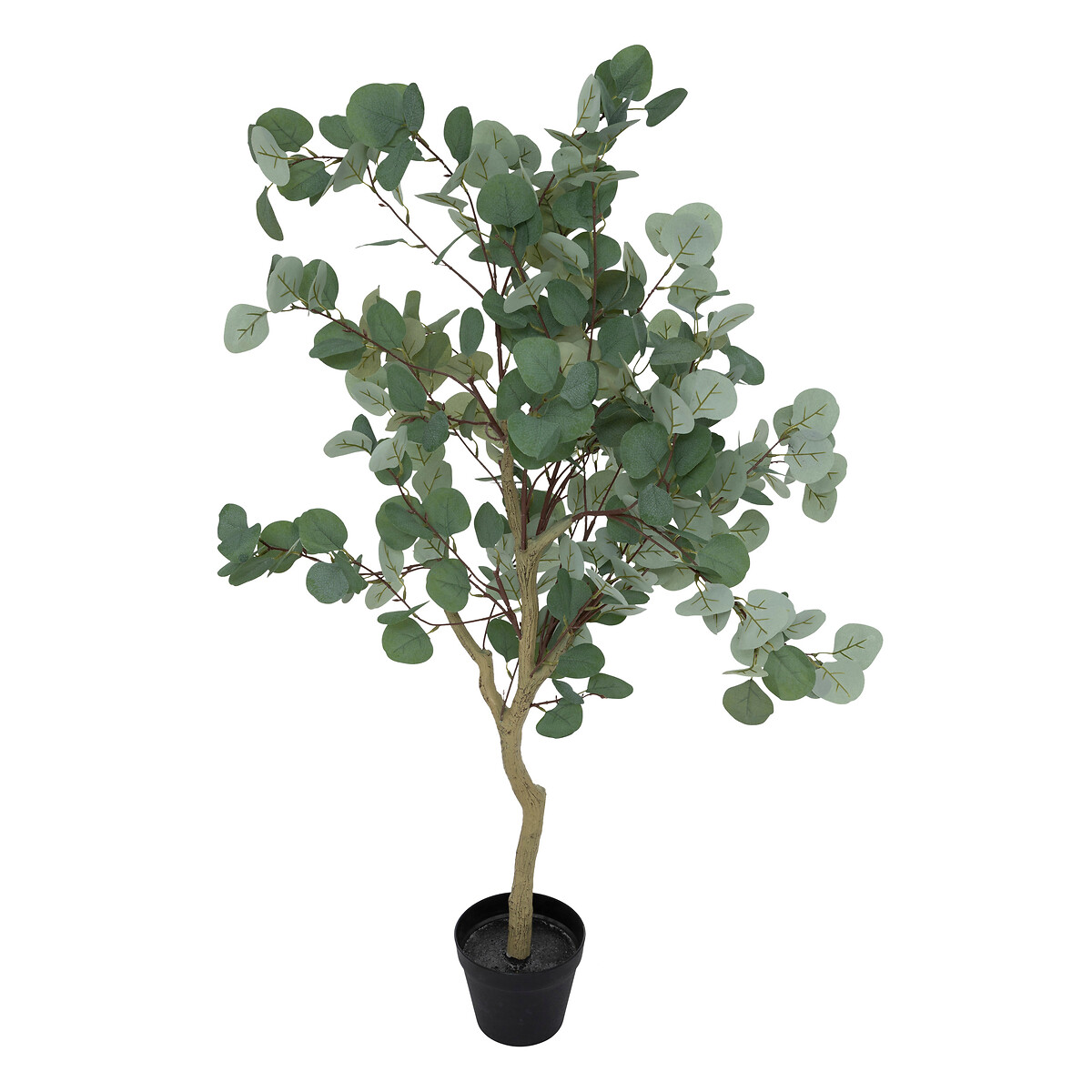 Artificial eucalyptus "Cony" Black pot, H.127 cm