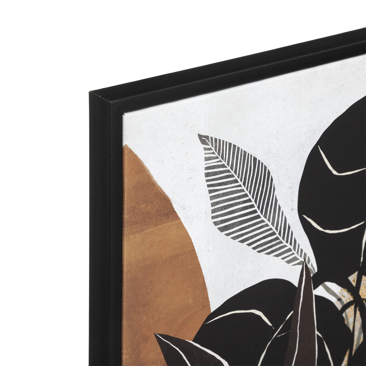 Framed canvas"Plante" 58x78 cm