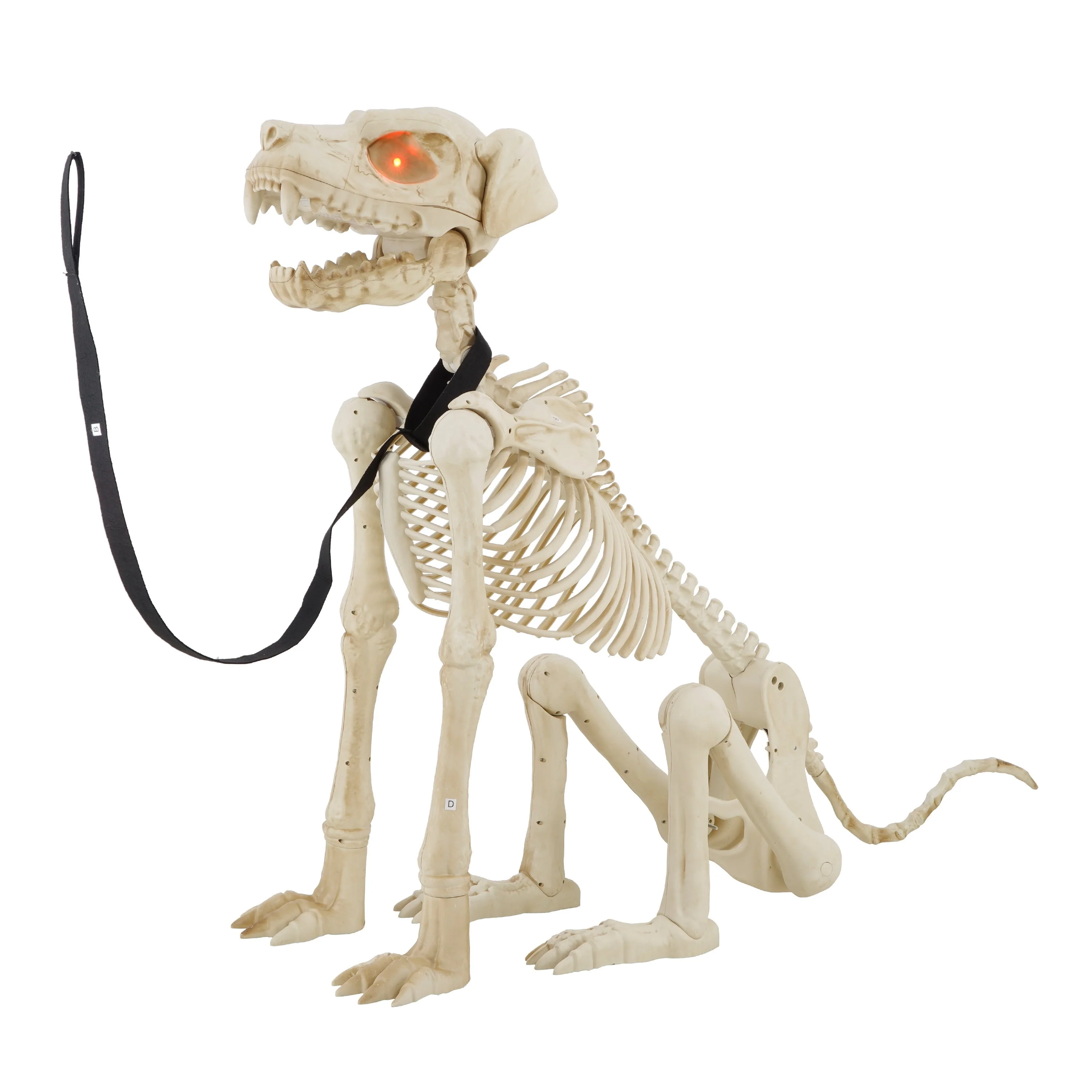 Way To Celebrate Animated Skeleton Dog Halloween Decoration, Beige, 60 in - Image 4 Way To Celebrate Animated Skeleton Dog Halloween Decoration, Beige, 60 in - Image 4