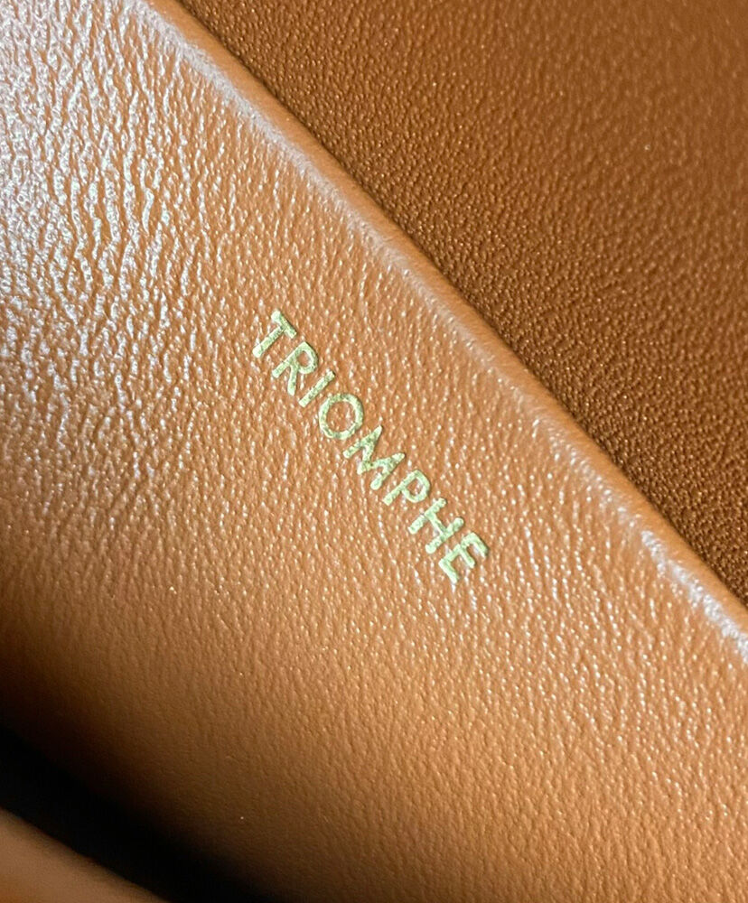 Celine Teen Besace Triomphe In Triomphe Canvas And Calfskin Coffee1:1High-quality replica