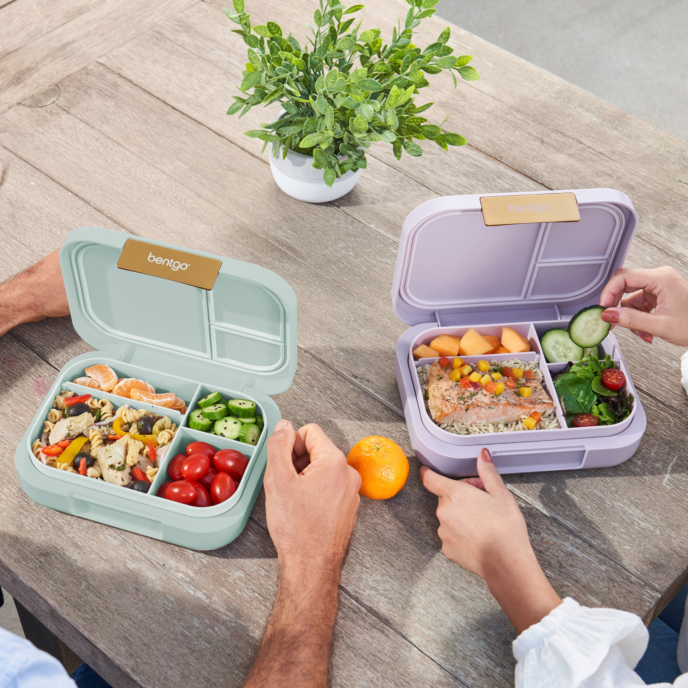 Bentgo Modern Leak-Resistant Lunch Box, 2 Pack - Image 2