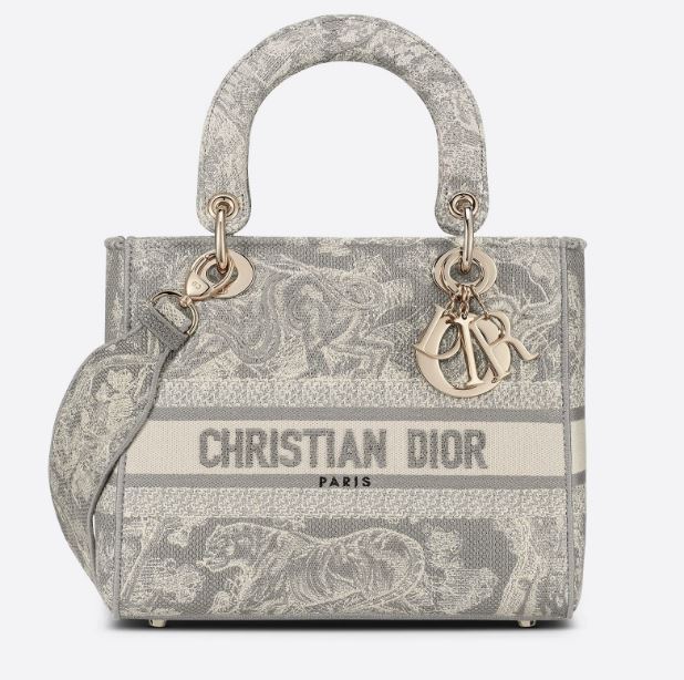 Christian Dior Medium Lady D-Lite Bag Grey, For Women, Women’s Handbags 24cm/9.5in CD