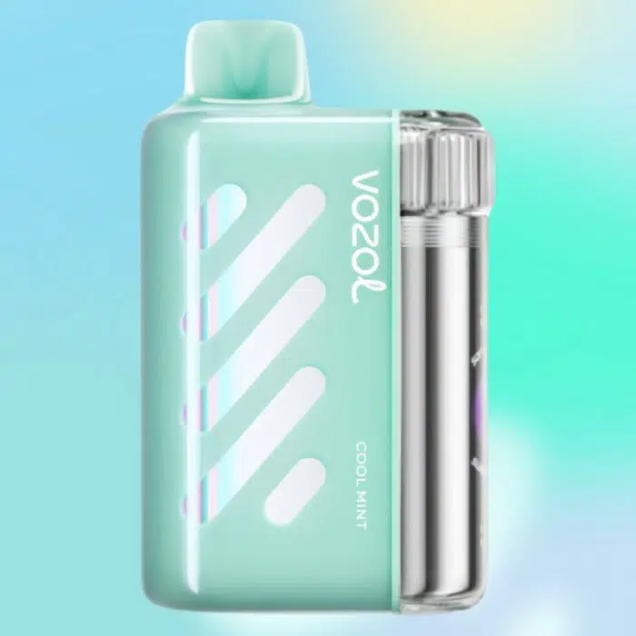VOZOL VISTA 40000 puffs