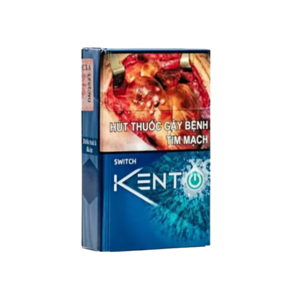 Vietnamese Kent Switch