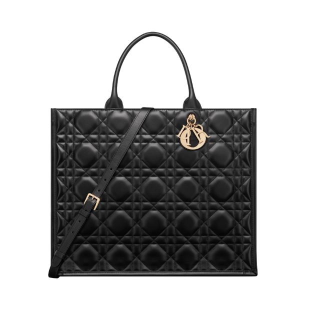 Christian Dior Large Dior Book Tote Bag Black For Women M1323OWHP_M900 – 41.5 Cm/ 16.5 Inches