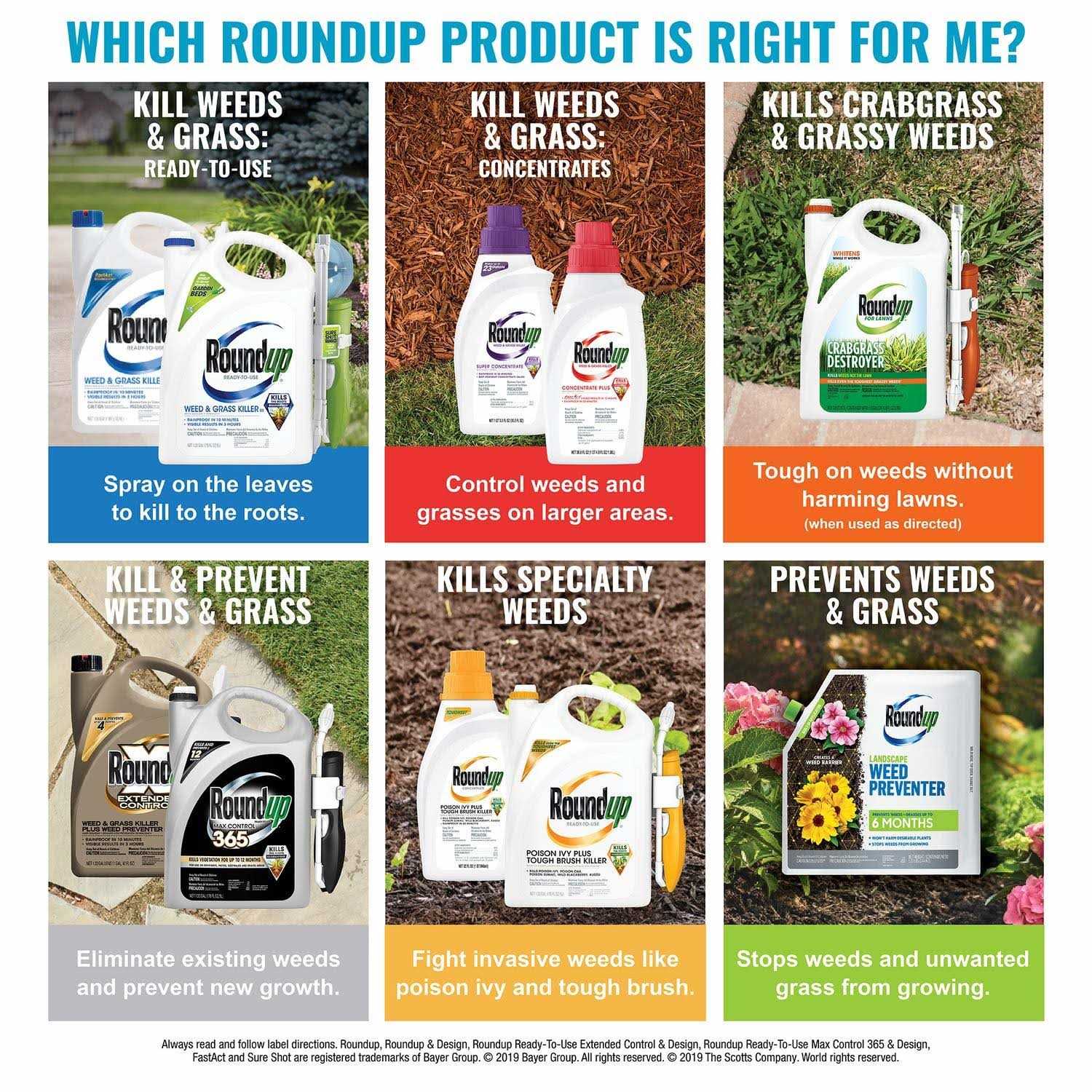 Roundup Super Concentrate Weed & Grass Killer - 50% Concentrated Formula - Image 4 Roundup Super Concentrate Weed & Grass Killer - 50% Concentrated Formula - Image 4
