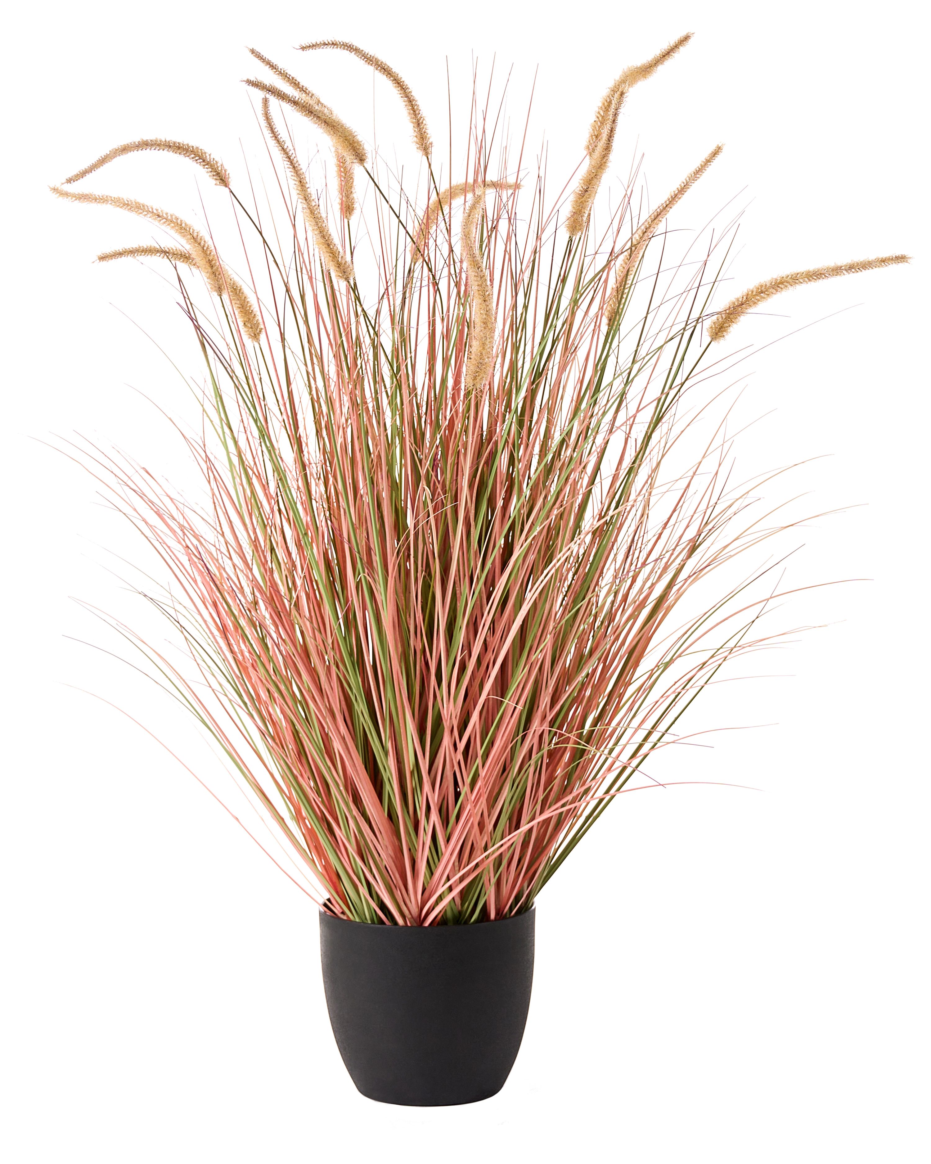 Artificial Plant BRISTLEGRASS 120 cm Orange