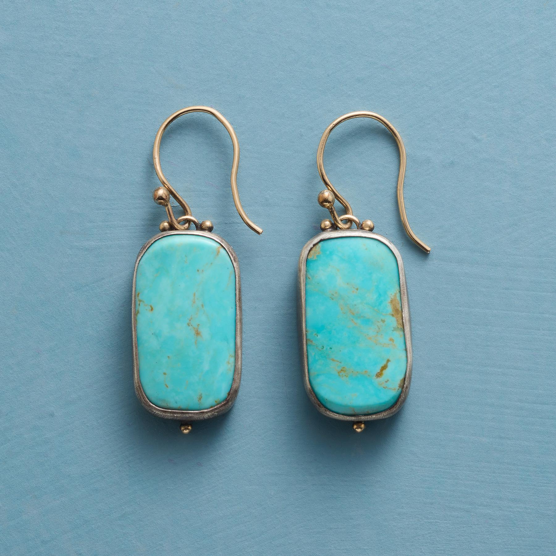 Arizona Turquoise Earrings - Sundance Clothing