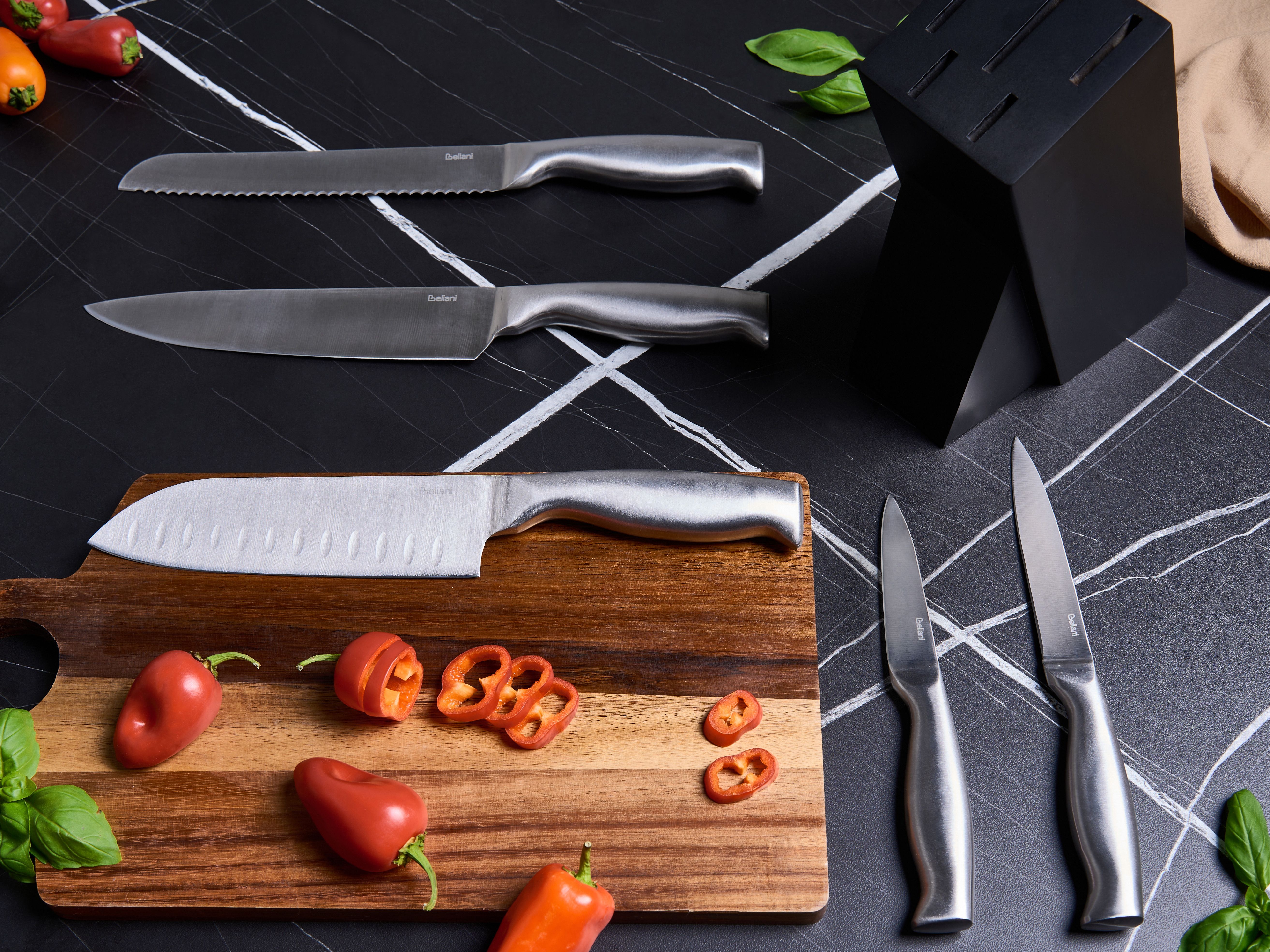 Set of 5 Knives in Block MASHIKO Silver