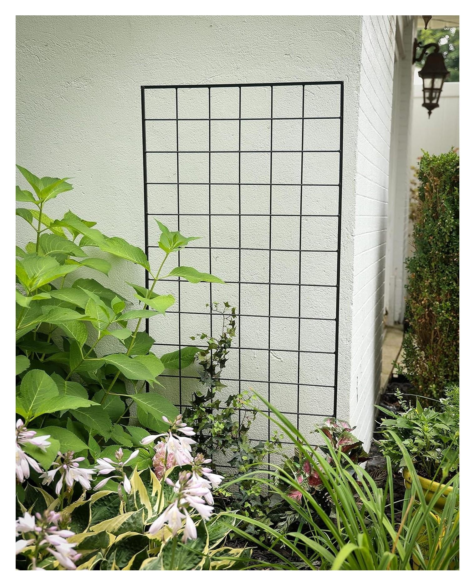 American Garden Works Narrow Screen Trellis, Black 64.25"H - STNMB - Image 4 American Garden Works Narrow Screen Trellis, Black 64.25"H - STNMB - Image 4