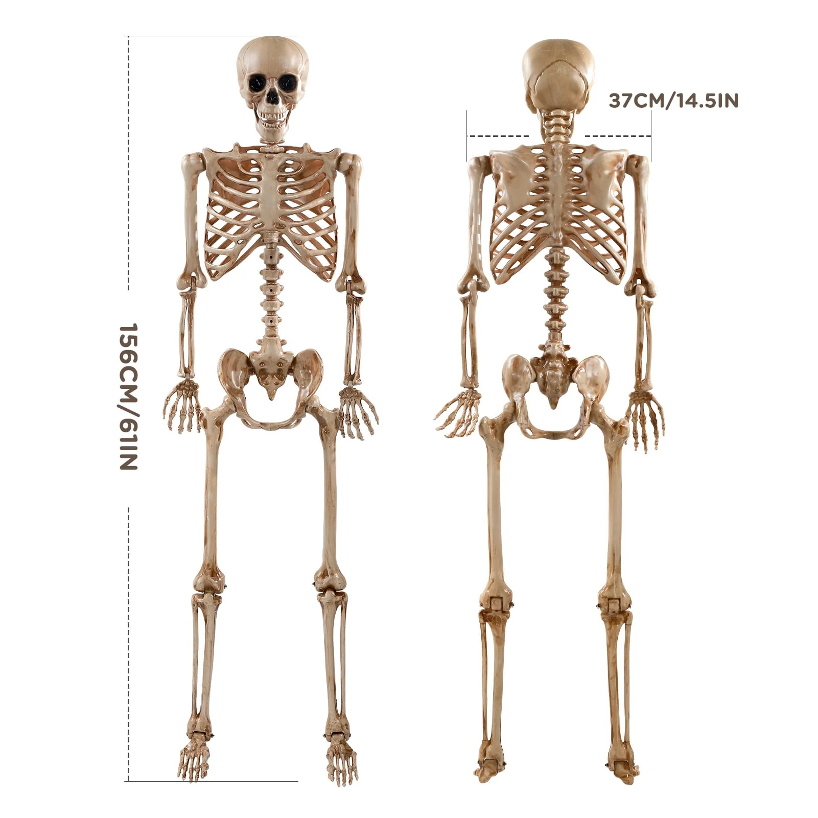 Ayieyill 5.4ft Halloween Skeleton Decorations, Weathered Posable Skeleton Decor for Halloween Decorations Outdoor Indoor - Image 11 Ayieyill 5.4ft Halloween Skeleton Decorations, Weathered Posable Skeleton Decor for Halloween Decorations Outdoor Indoor - Image 11