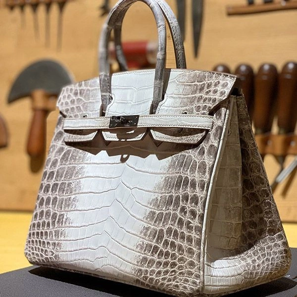 Hermes Crocodile Himalaya Birkin 30 Replica Silver Hardware