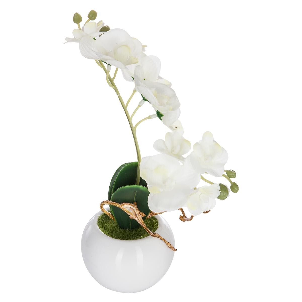 Artificial orchid Ceramic pot, H.25 cm