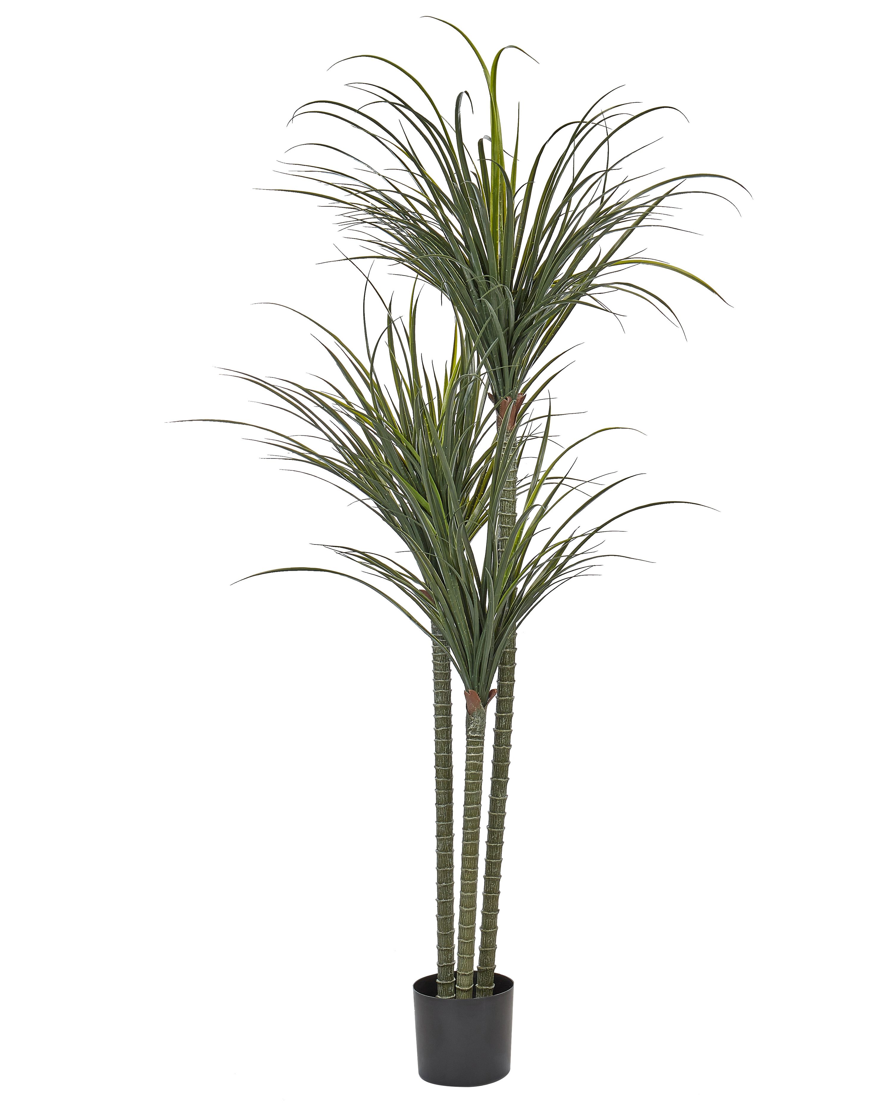 Artificial Plant DRACAENA ANITA 198 cm Green