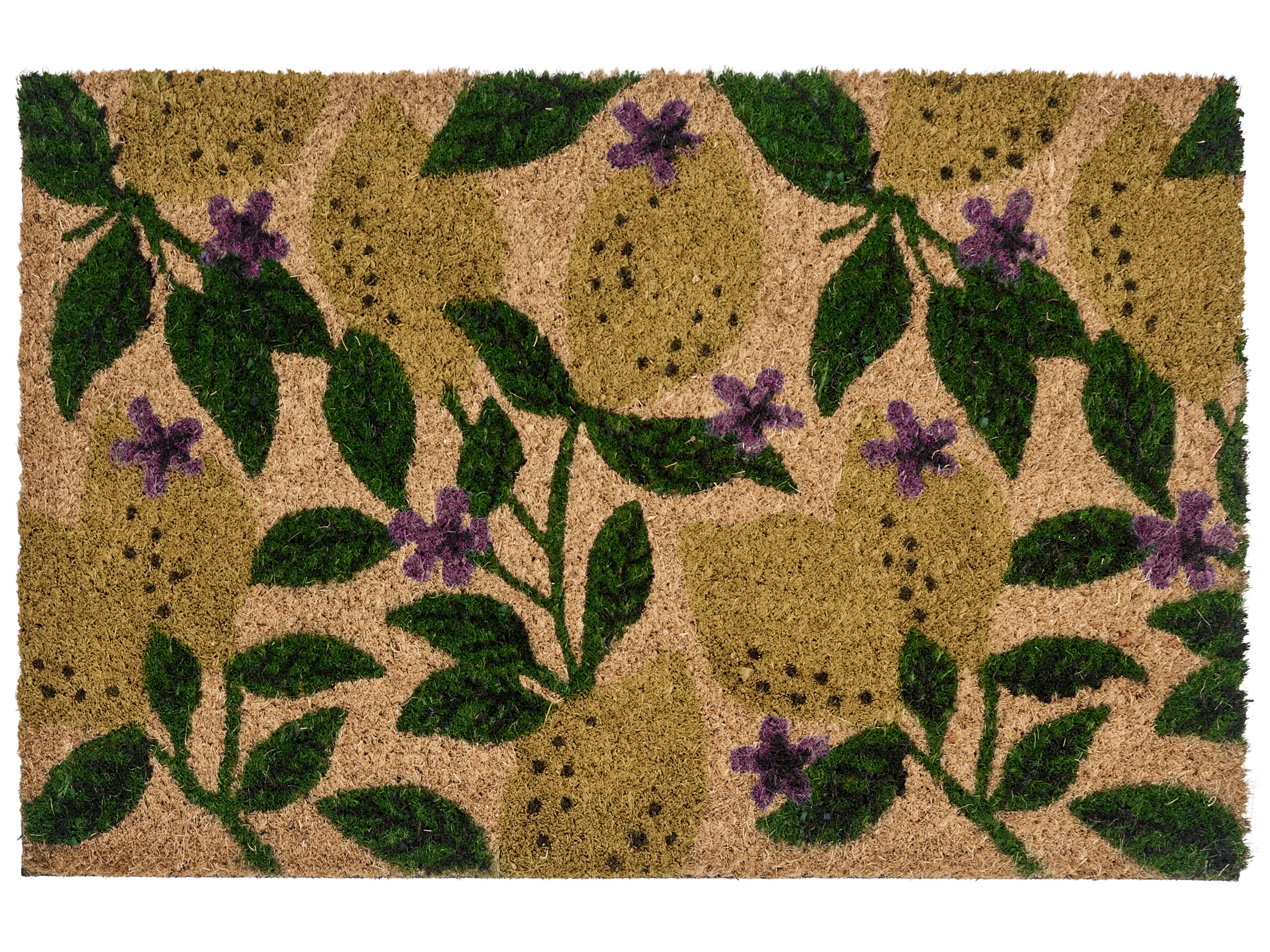 Doormat TAZLINA Multicolour 50 x 80 cm Lemon Coir