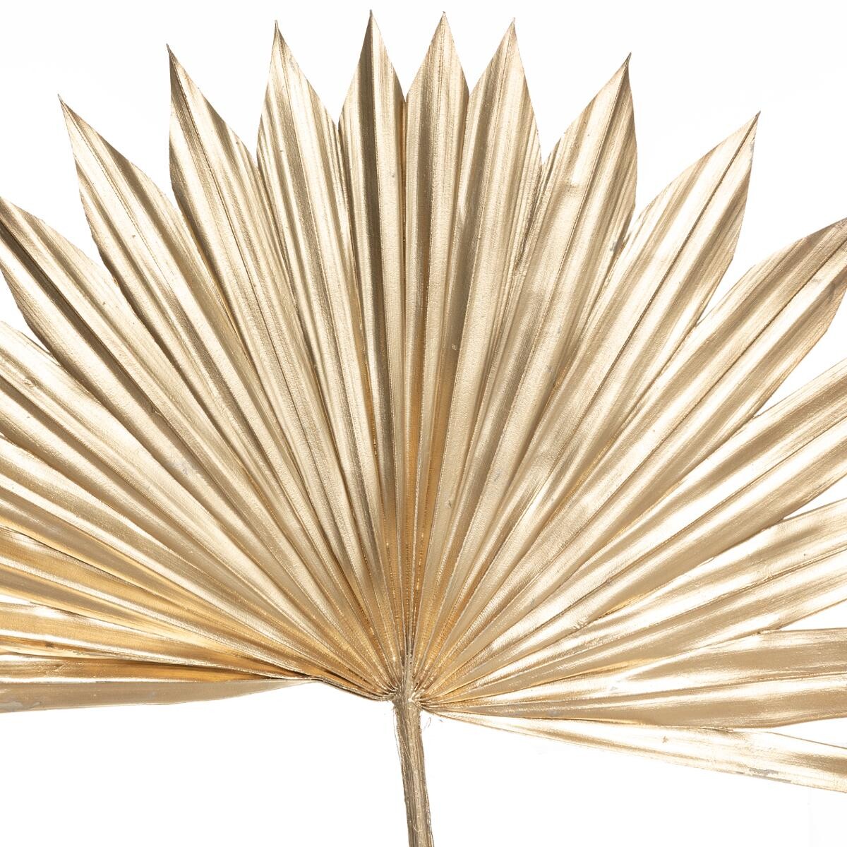 Set of 3 stems dried plant "Suite" Gilt, H.56 cm