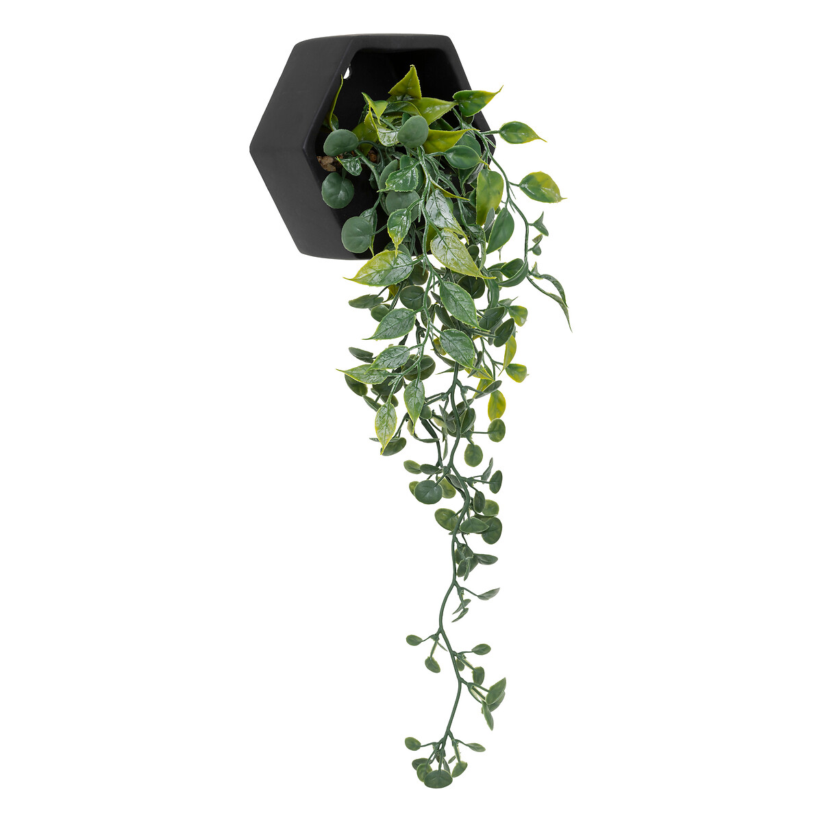 Artificial hanging plant "Ayame" Black pot, H.14 cm