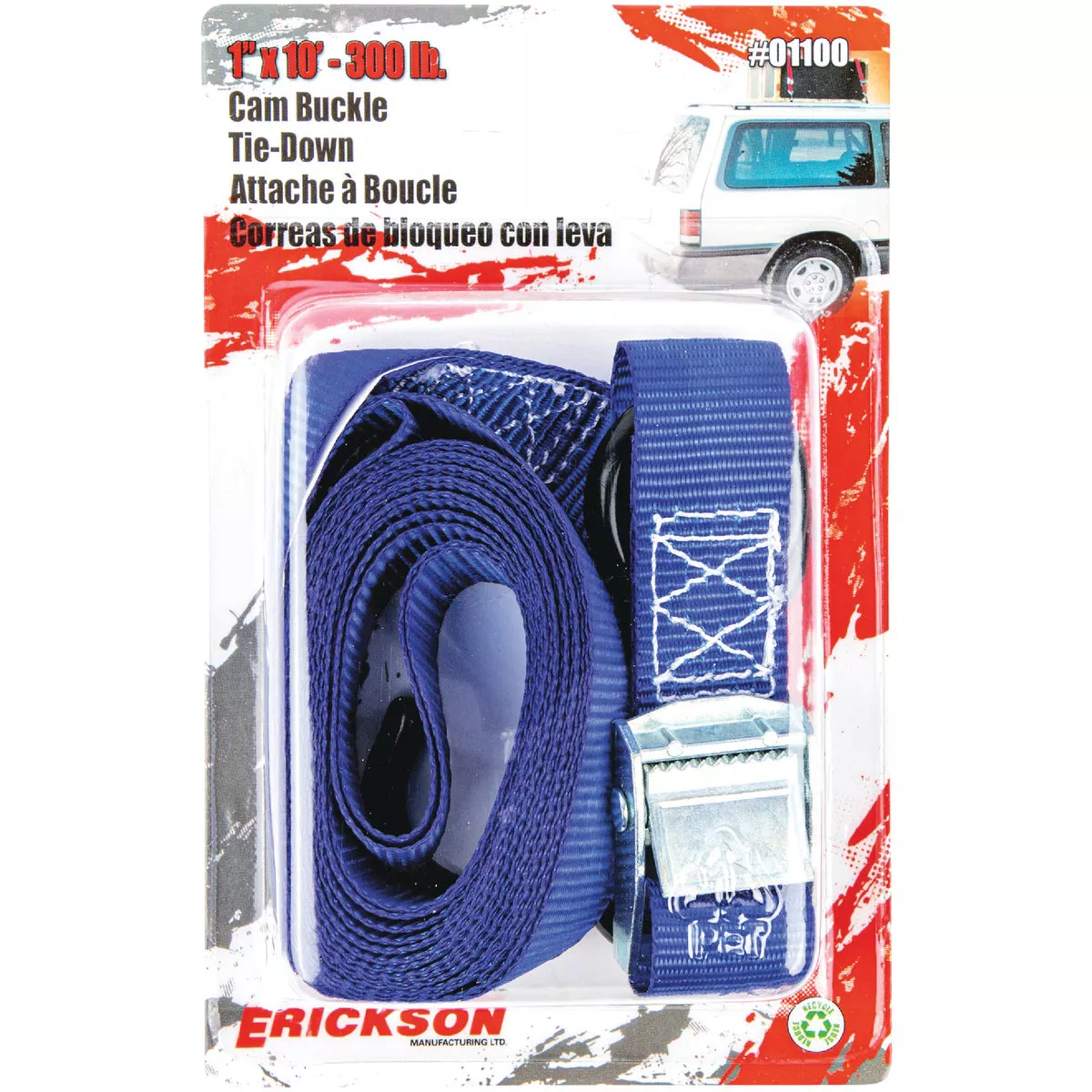 Erickson 1